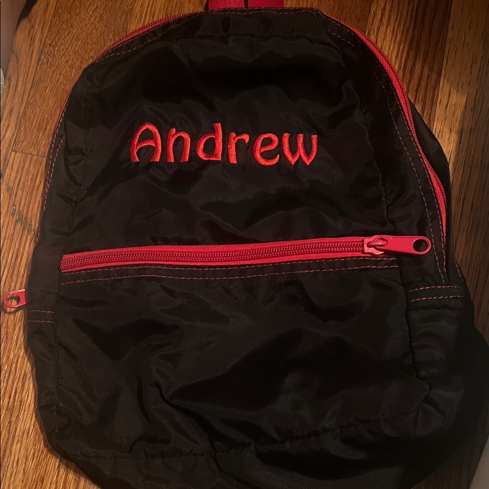 Black and Red Backpack